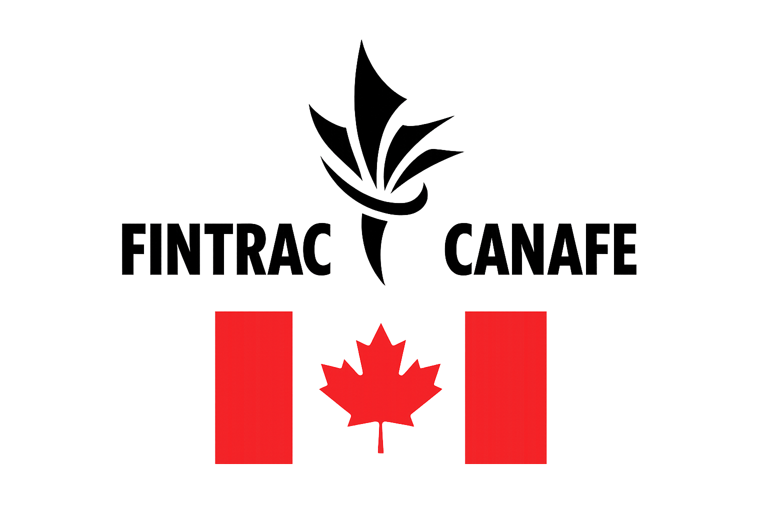 cbn logo